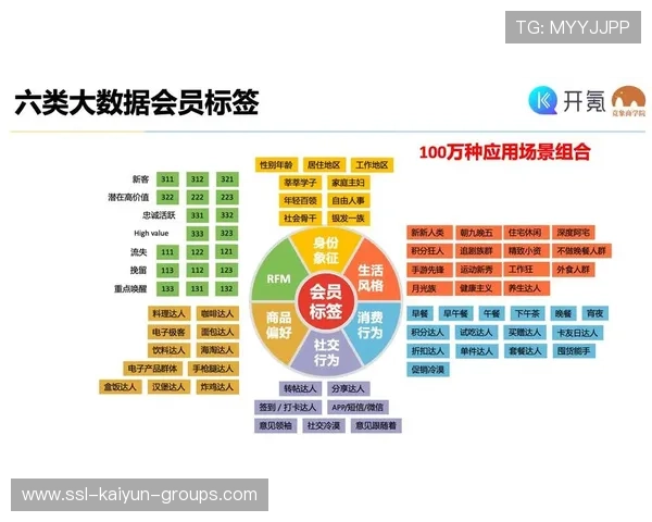 付费模式：会员制与道具经济对平台收入结构的影响，付费会员制电商平台有哪些